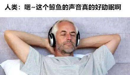 邻居太太似乎被窗户夹住了