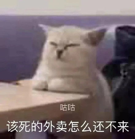 来一份可可爱爱的表情包吧 2021.09.04