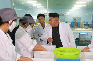 金正恩视察葛麻食品厂 赞工厂干净像休养所