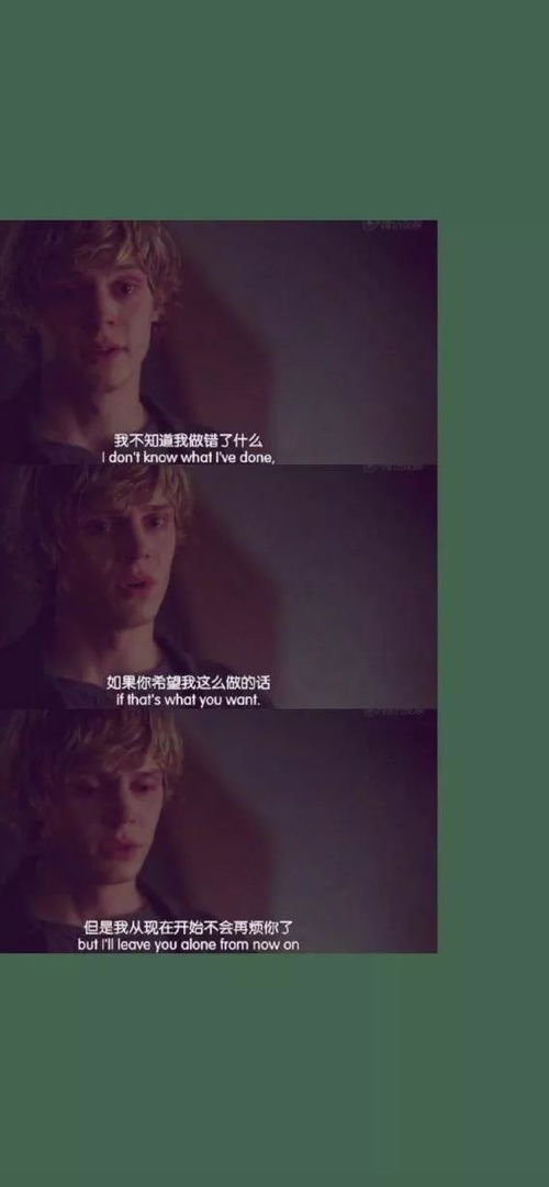 小头像、壁纸与爱爱吧 数字时代的情感表达