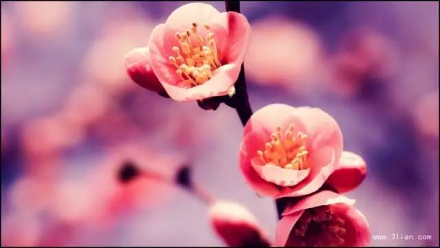 人啊,能爱就爱吧