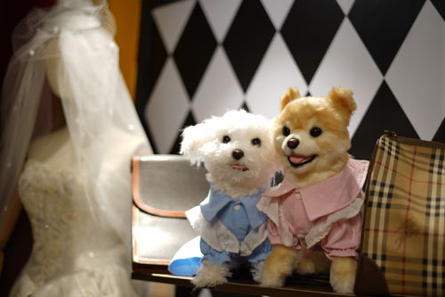 仿真玩偶 可爱表象下的情感迷思