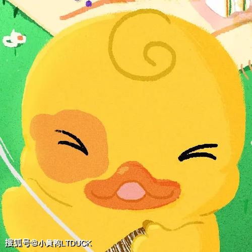 可爱鸭鸭宝宝头像大赏 治愈萌趣新风尚