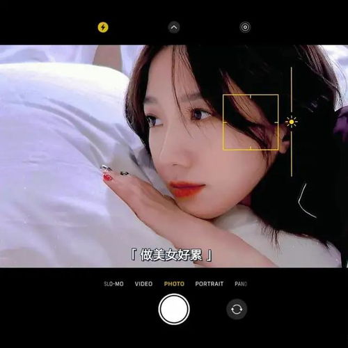 睡美人之梦，愿永不醒