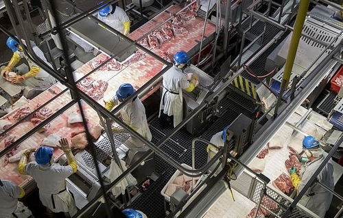 特朗普复工施压下，肉类加工厂罢工加剧美国食品供应危机